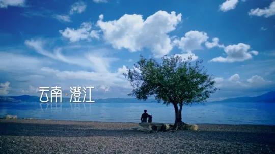 品牌云集,2020總臺(tái)中秋晚會(huì)助力行業(yè)標(biāo)桿傳播