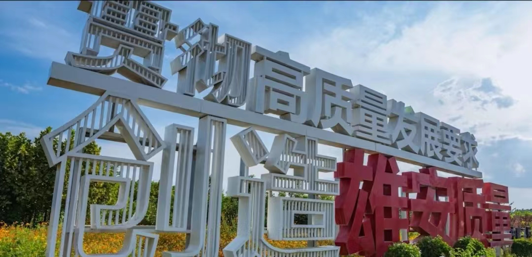 荷葉茶香沁雄安 塑造新區新名片